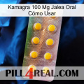 Kamagra 100 Mg Jalea Oral Cómo Usar new11